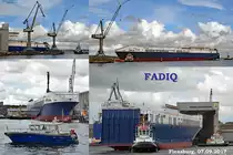 Stapellauf der FADIQ am 07.09.2017 in Flensburg. 209,79 m lang und rund 26 m breit ist das Ro/Ro-Schiff. Es hat rund 55 Millionen Euro gekostet. Die türkische Reederei Alternative Transport (AT) will die »Fadiq« ab dem ersten Quartal 2018 auf der Route Türkei-Italien einsetzen. Die »Fadiq« ist das siebte Schiff der Reederei. Sie bietet 4.100 Spurmeter für den Transport von 283 Trailern. Die Höchstgeschwindigkeit beträgt 21,3 kn.
Baunummer 770 der Flensburger Schiffahrt-Gesellschaft