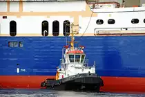 Schlepper STEIN hat dazu beigetragen, den Stapellauf der FADIQ (im Hintergrund) erfolgreich zu meistern. Flensburg, 07.09.2017 