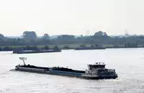 Blick von Rees auf den Rhein nach Osten am 09.07.2017. Zwei Koppelverbände , mit Kohle beladen , fahren zu Berg und ein TMS zu Tal. Alles bei Rhein-km 836 ... 837.