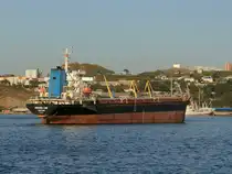 Massengutfrachter IMO 8653073  Orange Link  liegt am 23. September bei Wladiwostok.