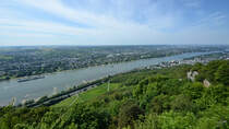 Blick vom Drachenfels auf den Rhein. (Bad Honnef, August 2012)