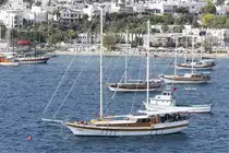 30.05.2018, Bodrum, Ömer Bey




