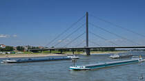 Die Gütermotorschiffe  Splendor  (02328238) und  Mondeo  (02328092), weiter hinten das Tankmotorschiffe  Antigua  (02336832) auf dem Rhein. (Düsseldorf, Juni 2018)