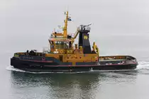 06.06.2018, Bari, Galesus, IMO 9056105 




