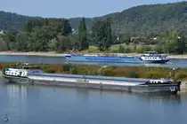 Das Frachtschiff  Sperate  (02318495) Mitte August 2018 in Brohl-Lützing.