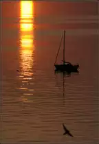 Sonnenuntergangsstimmung an der Ostsee -

Segelboot vor der kleinen Insel Ruden in der Nähe von Peenemünde.

21.07.2018 (J)
