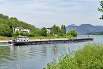 Koppelverband mit GMS  SYLVANA  auf dem Rhein bei Unkel - 16.08.2018