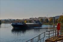 GMS „NULLI-CEDO , ENI 02312238; L 105 m; B 11,45 m; T 2852; fährt Flussabwärts an Wasserbillig vorbei. 21.10.2018  (Hans)