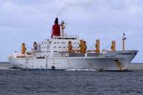 Reefer Snow Drift IMO-Nr.:7228302 am 17.06.2008  Cuxhaven.