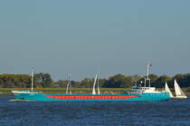 Die Lifana IMO-Nummer:8315449 Flagge:Niederlande Länge:80.0m Breite:10.0m Baujahr:1983 Bauwerft:Peters-Ijsselmeer B.V.,Kampen Niederlande auf der Elbe bei Lühe aufgenommen am 13.10.18