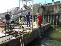 Hamburg am 26.8.2018, Hafenmuseum Schuppen 50, Helmtauchervorführung / (öffentlich zugängliches Gelände)