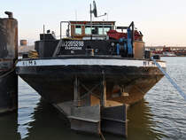 Das Güterschiff  Nema  (ENI: 02205288) Ende Juli 2018 im Straatsburgdok Antwerpen.