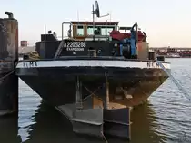 Das Güterschiff  Nema  (ENI: 02205288) Ende Juli 2018 im Straatsburgdok Antwerpen.