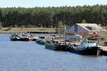 Blick auf den Binnenhafen des WSA Magdeburg/ABz Niegripp am 01.04.2019. Es lagen dort u.a. die Eisbrecher Stier (05011480 , 27.98 x 6,60m), Fürstenberg (05035700 , 29,20 x 7,42m) und Seebär (05029740 , 21,81 x 5,10m). 