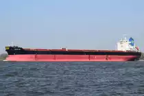 GOLDEN ICE , Bulk Carrier , IMO 9401362 , Baujahr 2008 , 225 × 32.28m , 18.04.2019 , Grünendeich