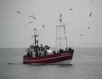 Das Fahrgastschiff Hanno Günter kam am Mittag des 10.05.2019 unter tierischer Begleitung zurück nach Warnemünde.