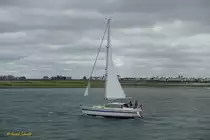 Unbekanntes Einmastsegelschiff auf der Schlei am 27.6.2019 /
