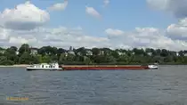 ALTAIR (ENI 05501760) am  21.8.2019, mit Schrott beladen Hamburg einlaufend,  Elbe Höhe Bubendeyufer /

Ex-Name: FÜRTH /

GMS / Lüa 85,0 m, B 9,5 m, Tg 2,71 m / 1 Deutz-Diesel, 588 kW (800 PS) / gebaut 1965 bei Deutsche Industrie-Werke GmbH (D.I.W.), Berlin-Spandau / Flagge: Deutschland, Heimathafen Hamburg /
