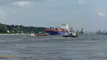 Hamburg am 21.8.2019: Reger Schiffsverkehr auf der Elbe Höhe Övelgönne /