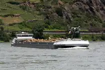 GMS Narvik (ENI:02328708) L.135m B.11,45m T.3935 Baujahr:2007 am 09.06.2019 auf dem Rhein bei Oberwesel zu Berg.