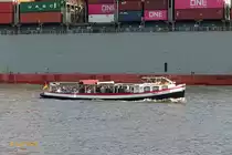 TANJA (ENI 05103730) (H3020) am 14.8.2019, Hamburg,  Elbe Höhe Neumühlen /
Rundfahrtbarkasse / Lüa 18,04 m, B 3,2 m, Tg 1,34 m / 1 Diesel, 133 kW (180 PS)  / 70 Fahrgäste / gebaut 1937 bei Heinrich Grube, Hamburg, Umbau 2011 zur sinksicheren Barkasse  / Eigner: Hermann Hansen, Hamburg /
