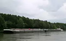 Der Tank-Koppelverband mit TSL Dettmer Tank 110 (02327540 , 65 x 8,20m) & TMS Dettmer Tank 116 (04802310 , 86 x 9m) hatte am 20.07.2019 bei regnerischem Wetter unterhalb der Schleuse Uelzen Feierabend gemacht.