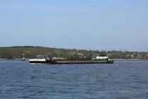 GMS Denise (04805520 , 105 x 9,50m) am 15.04.2020 auf Havel-Talfahrt zw. der Pfaueninsel und dem Krughorn. Im Hintergrund Berlin-Kladow.