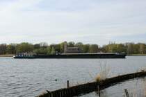 GMS Credendo Vides III (06001814 , 85 x 9,5m) am 16.04.2020 auf der Havel (UHW) Höhe Sacrower Kirche auf Bergfahrt zum Berliner Westhafen.