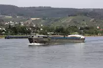 GMS THALIA (ENI:02328065) L.110m B.11,40m To 3110 am 19.07.2020 auf dem Rhein in Braubach zu Berg.