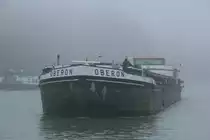 Aus dem Nebel des 30.09.2020 kam das  GMS OBERON  (04017840 , 80 x 9m) im  DORTMUND-EMS-KANAL  zu Tal bei Bergeshövede.