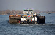 SCHUBBOOT PATRIJS (ENI:02336699) L.26m B.11,20m Flagge Niederlande am 24.11.2020 auf dem Rhein mit 4 Leichter in Xanten zu Tal.