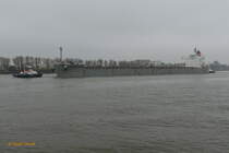 ETERNAL BLISS (IMO 9433626) am 11.11.2020, Hamburg unter Schlepperassistenz einlaufend, Elbe Höhe Bubendeyufer  /
Massengutfrachter / BRZ 43024 / Lüa 229 m, B 32,26 m, Tg 14,3 m / gebaut 2010 in Japan / Flagge + Heimathafen: Singapur / Eigner: K LINE Singapur /