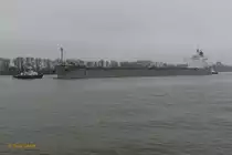 ETERNAL BLISS (IMO 9433626) am 11.11.2020, Hamburg unter Schlepperassistenz einlaufend, Elbe Höhe Bubendeyufer  /
Massengutfrachter / BRZ 43024 / Lüa 229 m, B 32,26 m, Tg 14,3 m / gebaut 2010 in Japan / Flagge + Heimathafen: Singapur / Eigner: K LINE Singapur /