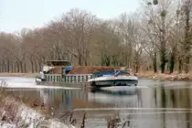 GMS  CONSENSUS  (02319490 , 80 x 8,20m) am 01.02.2021 im Sacrow-Paretzer-Kanal / UNTERE HAVEL-WASSERSTRASSE  zw. Schlänitzsee und Marquardt auf Bergfahrt nach Berlin.