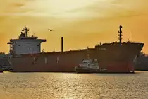 THE WISE (IMO 9318606) am 25.02.2021. Im Licht der untergehenden Sonne verlässt der 225 Meter lange Bulk Carrier den Vorwerker Hafen in Lübeck. Die Schlepper SATURNUS und ARGUS unterstützen die Fahrt auf der Trave in Richtung Ostsee. THE WISE ist mit rund 34000 Tonnen Gerste beladen und wird in Rostock-Warnemünde weitere Ladung aufnehmen.