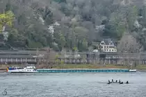 Das Gütermotorschiff CENTAURUS (ENI: 02326975) ist auf dem Rhein unterwegs. (Unkel, April 2021)