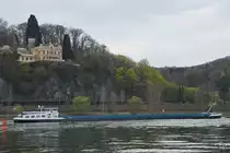 Im Bild das Gütermotorschiff MONDEO (ENI: 02328092). (Unkel, April 2021)