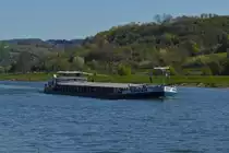 GMS „MOONRAKER“, ENI 02326759; Bj 1959; L 86 m; B 9,5 m; Tonnage 1617 t; auf der Mosel nahe Wasserbillig unterwegs. 27.04.2021

