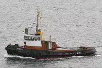 Schlepper ROBBE am 10.02.2023 im Hafen von Kiel
