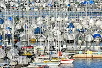 Viel los im Hafen von Oslo - u.a. können zahlreiche Segelboote angesehen und abgelichtet werden. Aufnahme vom 09.02.2023