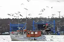 GOT 11 NEPTUN am 25.02.2023 im Hafen von Lübeck-Travemünde