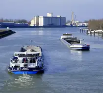 GMS Benja rheinabwärts und GMS Duc in Altum rheinaufwärts an der Staustufe Vogelgrün/Elsaß, Feb.2025