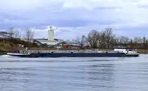 TMS Fenne, rheinaufwärts vor der Staustufe Vogelgrün/Elsaß, L=110m, Tonnage 2941t, 1836PS, gemeldet in den Niederlanden, Feb.2025