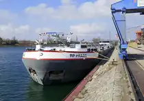 TMS RP-Praag, ankert im Rheinhafen von Breisach am Rhein, L=110m,Tonnage 2943t, 2x707PS, Baujahr 2023, gemeldet in Basel/CH, März 2025