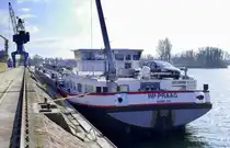 TMS RP-Praag, ankert im Rheinhafen von Breisach, Heckansicht, März 2025