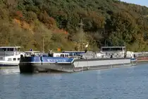 TMS  EVENTUM  (04812030 , 85 x 9,5m)  befuhr am 26.10.2024 den  DORTMUND-EMS-KANAL  Höhe Bergeshövede zu Tal.