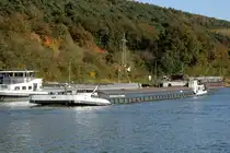 GMS  JOY  (02315872 , 80 x 8,24m)  befuhr am 26.10.2024 den  DORTMUND-EMS-KANAL  bei Bergeshövede zu Tal.