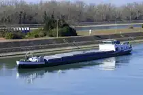 GMS C'est La Vie, rheinaufwärts, wartet an der Staustufe Vogelgrün auf die Schleusung, L=73m, Tonnage 959t, 1200PS, Baujahr 1950, gemeldet in Maasbracht/NL, März 2025