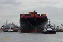 OSAKA EXPRESS  (IMO 9320697) mit den Assistenzschleppern VB BISON  und VB PERFECT am 16.9.2024, Hamburg, Elbe, Liegeplatz Tollerort / 
Containerschiff / BRZ 93.750/ Lüa 335,47 m, B 42,80 m, Tg 14,61m / 1 Diesel, 68.640kW (93.323PS), 25,2  / 8604 TEU, davon 730 Reefer / gebaut 2007 in Süd Korea / Eigner: Hapag-Lloyd AG, Hamburg, Flagge: Deutschland, Heimathafen: Hamburg  /
