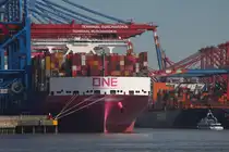 Containerfrachtschiff ONE INGENUITY; Eigner/Betreiber: ONE; Aufnahmeort: Elbe/Hafen Hamburg, Deutschland; Datum: 30.06.2025; Info: (IMO 9933016) Das Bild zeigt die ONE INGENUITY  am Containerterminal Burchardkai.